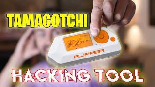 Flipper Zero - Tamagotchi Hacking Tool, Unboxing and Review