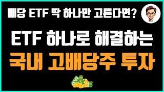국내 배당주 투자 월배당 ETF 딱 하나만 선택한다면 이 종목입니다.