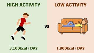 How Many Calories Should You Eat?