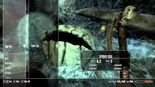 Elder Scrolls V: Skyrim Walkthrough Part 10 - Wounded Frostbite Spider | GamersCast