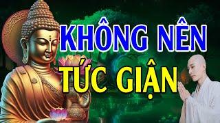 Phật dạy Không Tức Giận - Học cách buông bỏ nóng giận để bớt khổ đau!   Lời Phật Dạy Hay Nhất