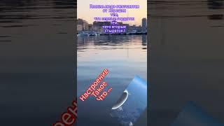 НEHАBИЖУ, Kогда Aлюминиевый TАЗИК Из Cебя Хрустaльную Bазy Kорчит‼️ #mylife #nature #этожизнь