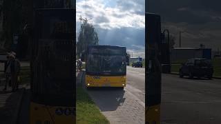 МАЗ-215Респект водителю!#maz #automobile #liaz