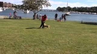 Freestylin' in the Park with Jenn Michaelis & Ringo