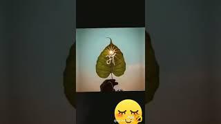 sushma Singh video