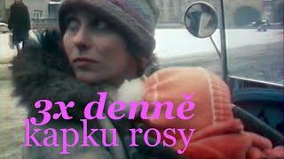 3x denně kapku rosy - Drama (Československo, 1981)