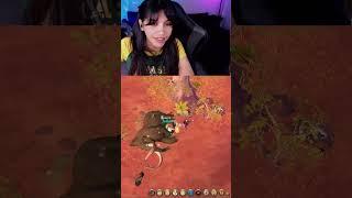 Risa incomoda | #murloka on #Twitch #albion #albiononline #mmo #mmorpg #beast1k