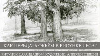 Как передать объём в рисунке леса? Рисунок карандашом. Художник Алексей Епишин