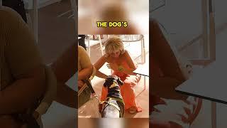 Ignored Her Warning... Then She Fell to the Floor!  #shorts #kindness  #helpneedy #shortsviral