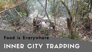 Trapping Food in the Inner City