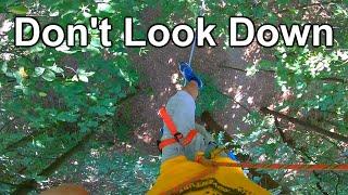 Don't Look Down! | High Ropes Course