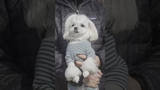 앉아 한번에 성공하면 커스텀 에코백 굿즈 가방 제작 후 선물해 주기