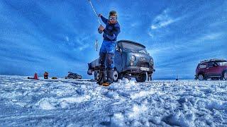 БЕШЕННЫЙ КЛЁВ ОМУЛЯ! ВОЛОСЫ ДЫБОМ ОТ ТАКОЙ РЫБАЛКИ! ТАК РЫБАЧИМ ТОЛЬКО МЫ!