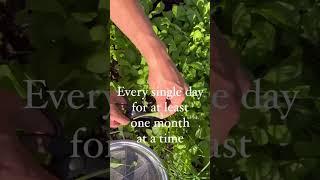 Don’t Buy This #kitchengarden #gardenary