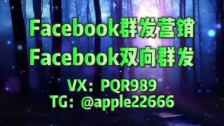 Facebook群发软件：树立专业解决方案供应商的品牌形象。#Facebook群发 #Facebook群发系统 #Facebook营销系统