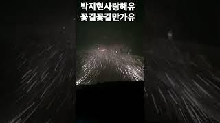 #박지현정원 #꽃길만걸어유 #메리크리스마스 #팔도강산낚시