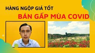 Đất vườn xã Lộc An | Hàng NGỘP mùa Covid | Kèo Thơm Cho Nhà Đầu Tư