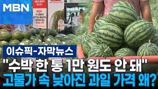 [자막뉴스] ＂수박 한 통 1만 원도 안 돼＂ 고물가 속 낮아진 과일 가격 왜? | 이슈픽