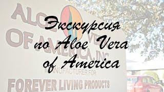 Прямой эфир из Aloe Vera of America - экскурсия на производство Forever в Далласе!