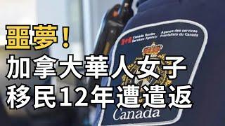 突發！正式逼宮！多名自由黨議員簽名罷免特魯多下周；悲劇了！加拿大華人女子移民12年遭遣返回國：因這惹了大麻煩；大溫印度人聚集區現無語一幕, 場面堪比菜市場 （《港灣播報》1012-1 CJCC）