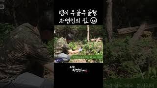 뱀이 우글우글한 자연인의 집.. #shorts