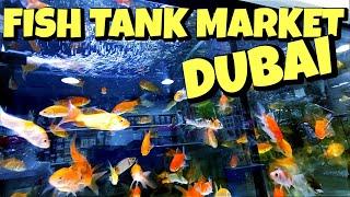 Fish Tanks in Dubai no one Talks About @CitiesTouch @aloneindubai