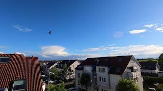 Freiberg am Neckar, Timelaps 3, 4K