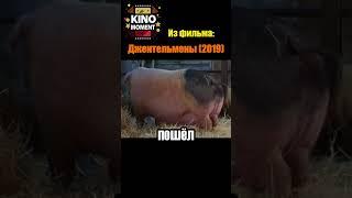 Лучшие КиноМоменты №12 из фильмаДжентельмены 2019