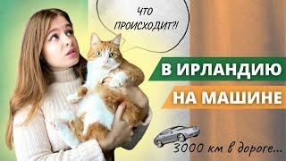 VLOG: НА МАШИНЕ  В ИРЛАНДИЮ С КОТОМ ~ ТРУДНОСТИ В ДОРОГЕ #влог #украинцывирландии