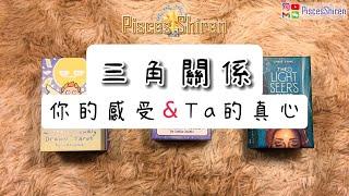 三角關係你的感受&Ta的真心【國語】PiscesShiren/愛情/戀愛/婚姻/曖昧/三角關係/冷戰/地下情/潛意識/真心話/直覺塔羅/心靈解讀/預測/靈性/療愈/塔羅牌/占卜