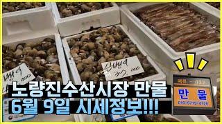 6월 9일 노량진수산시장 만물 (패류031) 시세정보 입니다. 35년 경력으로 믿고 찾아주세요