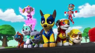 - Centuries - Paw Patrol Migthy Pups AMV