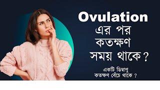 Time after Ovulation অভুলেসন হবার পর ডিম কতক্ষণ বেঁচে থাকে The Bong Parenting