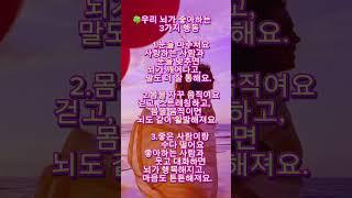 “뇌가 좋아하는 3가지, 오늘 하나만 해봐요!”#마음쉼터#운명의 과학#유튜브독서연구소
