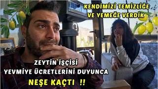 ZEYTİN İŞÇİSİ YEVMİYE ÜCRETLERİNİ DUYUNCA NEŞE KAÇTI ! KENDİMİZİ TEMİZLİĞE VE YEMEĞE VERDİK KÖY VLOG