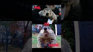 Groundhog Day Rivalry! Phil vs Chunk!