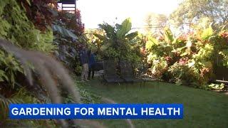 Chicago police officer's lush garden stops traffic, helps mental health