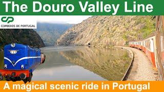 The Douro Valley line | Put it on your bucket list!