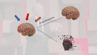 Почему антидепрессантов недостаточно для борьбы с депрессией? | Aleksandr Zarkovski | TEDxLasnamäe