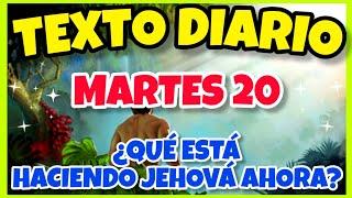 🟢𝐓𝐄𝐗𝐓𝐎 𝐃𝐈𝐀𝐑𝐈𝐎 𝐃𝐄 𝐇𝐎𝐘 𝐉𝐖 ️ WHAT IS JEHOVAH DOING NOW? - Tuesday, May 20, 2025