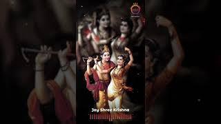 sathya krishna prime video(3)