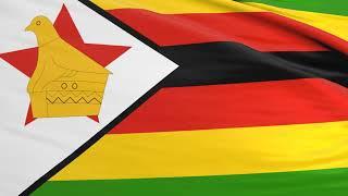 Flag of Zimbabwe waving in the wind - Flag animation - Motion background - 4K UHD