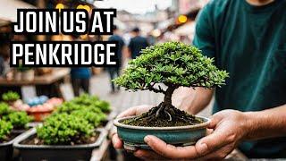 Come with us to the new Bonsai Event at Penkridge Markets.