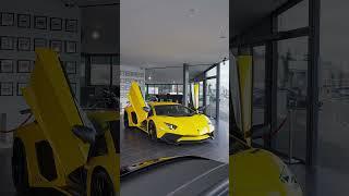 Lamborghini Aventador SV Coupe | LUXURYCARSELECTION | 4K