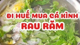 Cá Kình Huế nấu rau răm và  nước cốt chanh ăn ngon #ngocdanang #food #cooking #amthuc #nauan