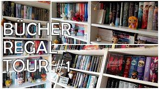 MEIN BÜCHERREGAL |  Bücherregaltour #1