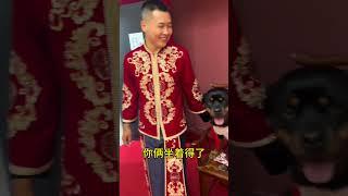 我真服…… #拉登与阿亮的日常生活