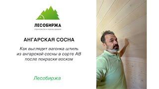 Как выглядит вагонка штиль из ангарской сосны в сорте "АВ" после покраски воском?