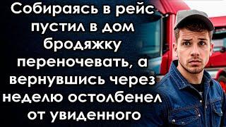 Собираясь в рейс пустил бродяжку переночевать, а вернувшись через неделю остолбенел от увиденного