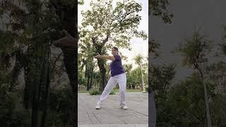 中華生物能醫學氣功 Bio Energi Medical Chi Kung (1)